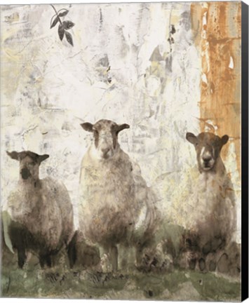 Framed Three Sheep Print