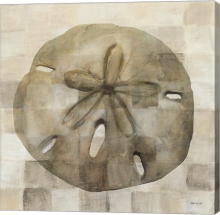 Framed Sand Dollar Print