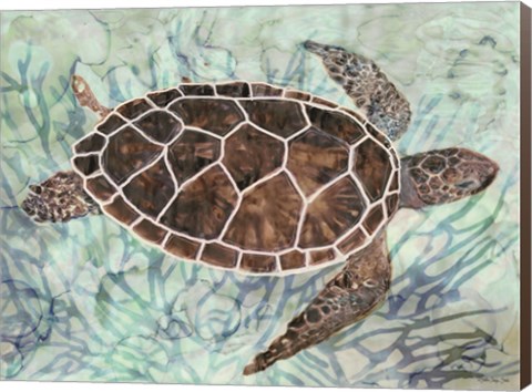 Framed Sea Turtle Collage 1 Print