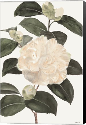 Framed White Botanical III Print