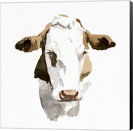 Framed Watercolor Bovine I Print