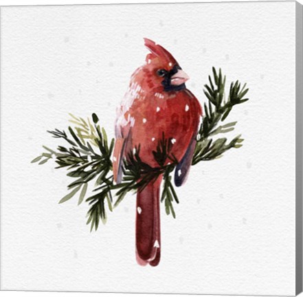 Framed Cardinal with Snow I Print