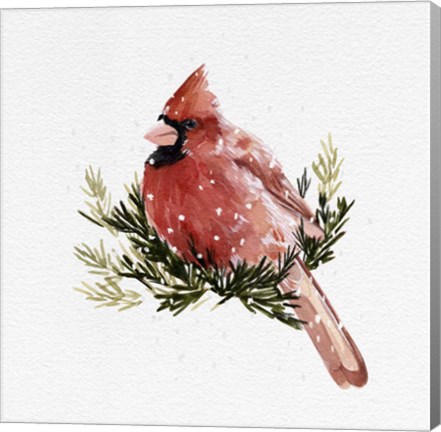 Framed Cardinal with Snow II Print