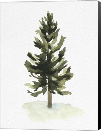 Framed Watercolor Pine I Print