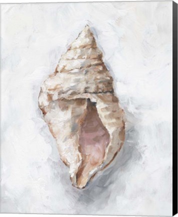 Framed White Shell Study III Print