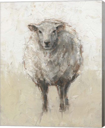 Framed Fluffy Sheep I Print