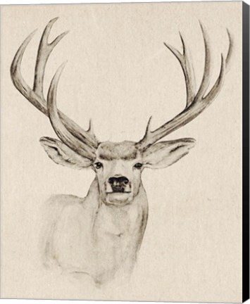 Framed Natural Buck I Print