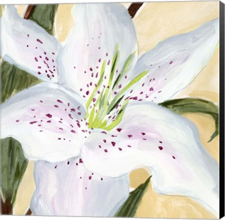 Framed White Lily I Print