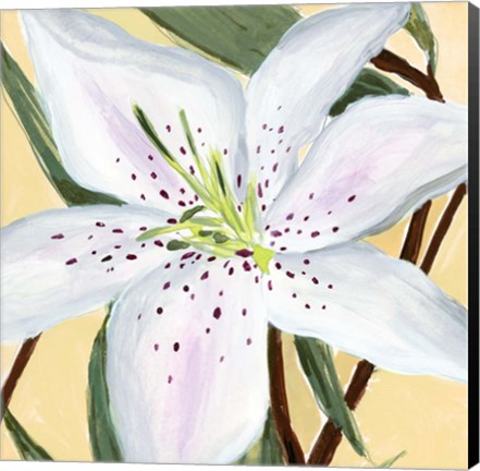 Framed White Lily II Print