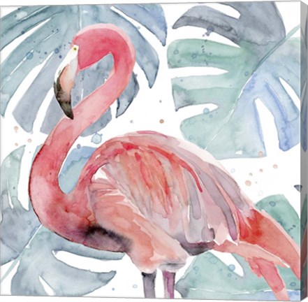 Framed Flamingo Splash II Print