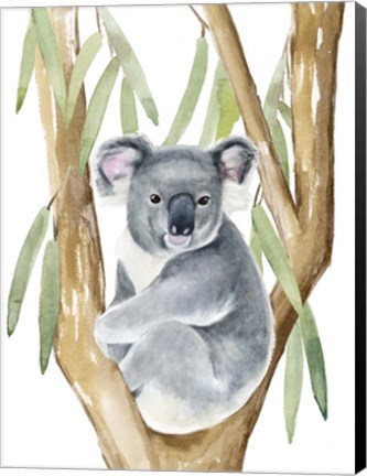 Framed Woodland Koala I Print