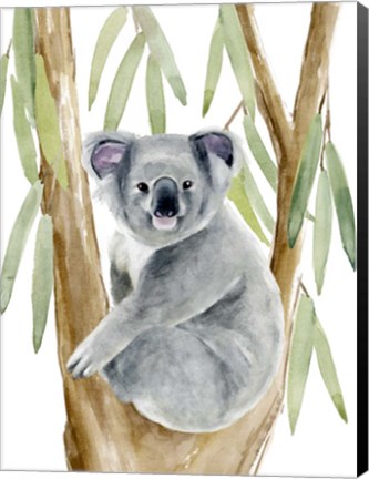 Framed Woodland Koala II Print