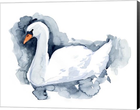 Framed Silverlake Swan II Print