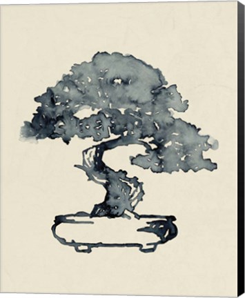 Framed Indigo Bonsai I Print