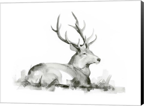 Framed Recumbent Stag I Print