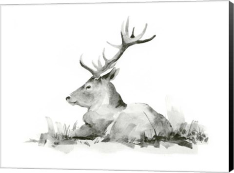 Framed Recumbent Stag II Print