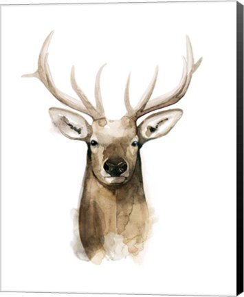 Framed Watercolor Elk Portrait I Print