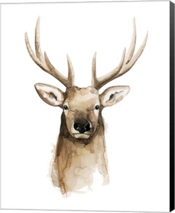 Framed Watercolor Elk Portrait II Print