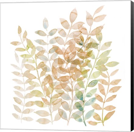 Framed Entwined I Print
