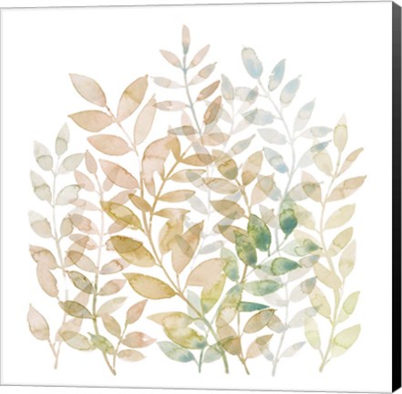 Framed Entwined II Print