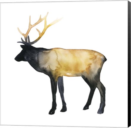 Framed Elk Aglow I Print