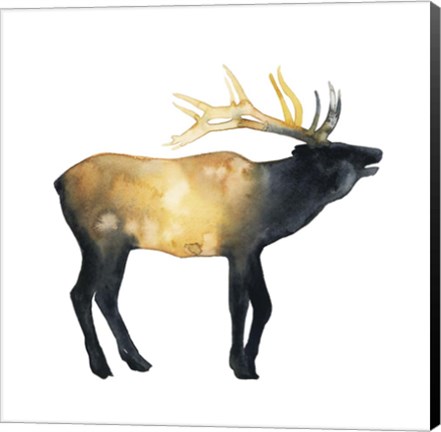 Framed Elk Aglow II Print