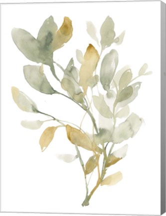 Framed Sage &amp; Sienna Leaves I Print