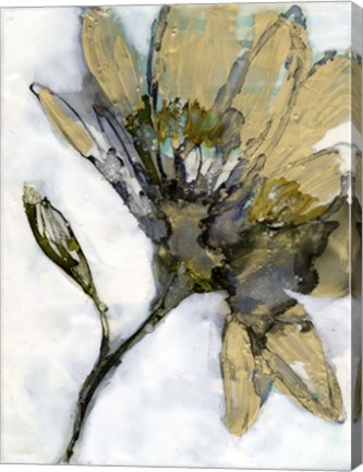 Framed Flower Alloy I Print