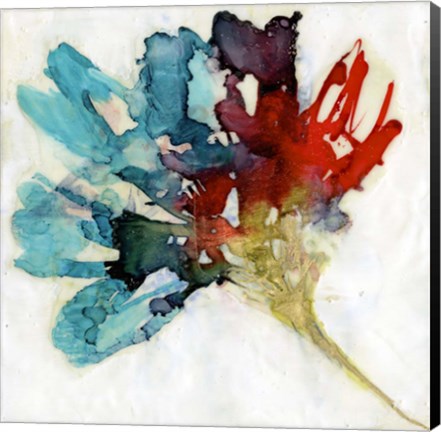 Framed Splashed Flower II Print