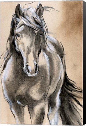 Framed Sketched Horse II Print