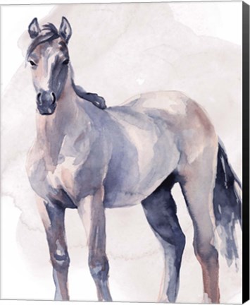 Framed Horse in Watercolor II Print