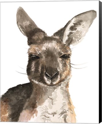 Framed Kangaroo Portrait I Print