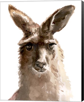 Framed Kangaroo Portrait II Print