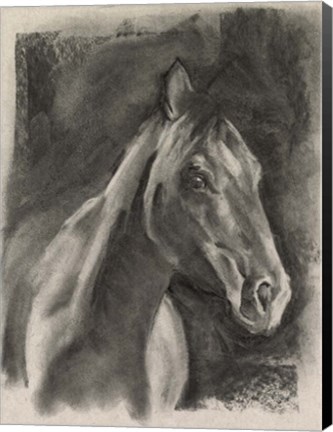 Framed Charcoal Horse Study on Grey I Print