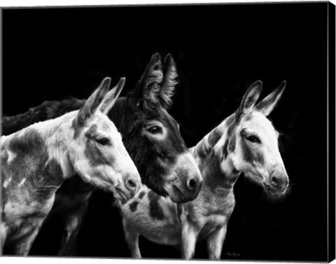 Framed Donkey Portrait II Print