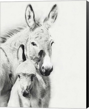 Framed Donkey Portrait V Print