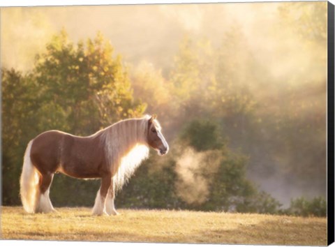 Framed Golden Lit Horse I Print