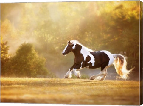 Framed Golden Lit Horse II Print