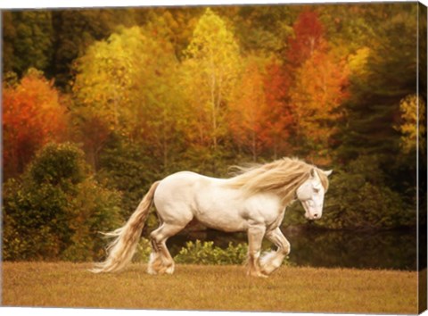 Framed Golden Lit Horse VI Print