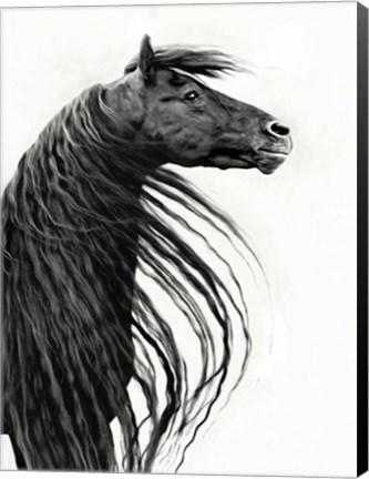 Framed Black and White Horse Portrait II Print