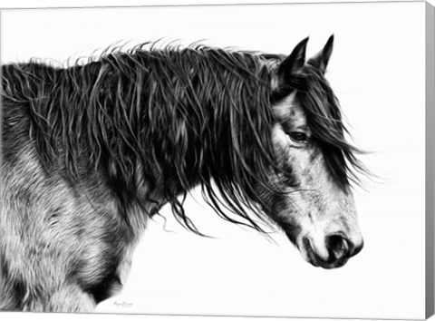 Framed Black and White Horse Portrait III Print