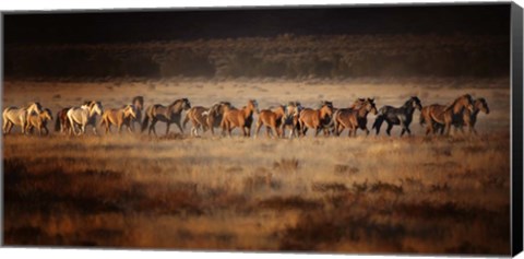 Framed Horse Run VII Print