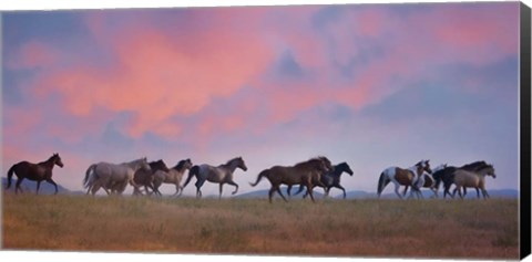 Framed Horse Run VIII Print