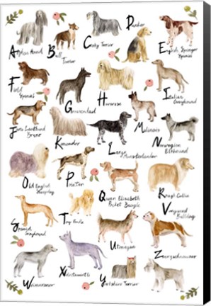 Framed Dog Alphabet Print