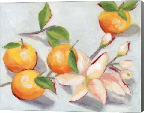 Framed Tangerine Blossoms I Print