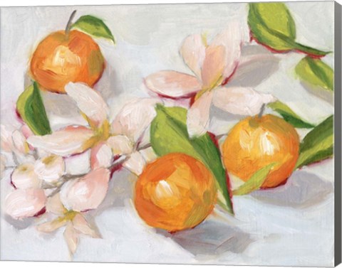 Framed Tangerine Blossoms II Print