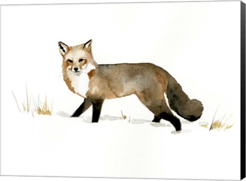 Framed Winter Fox II Print