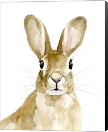 Framed Bunn I Print