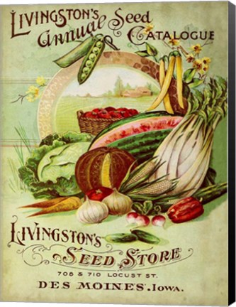 Framed Antique Seed Packets VII Print