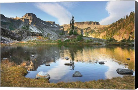 Framed Heather Meadows in Autumn Print